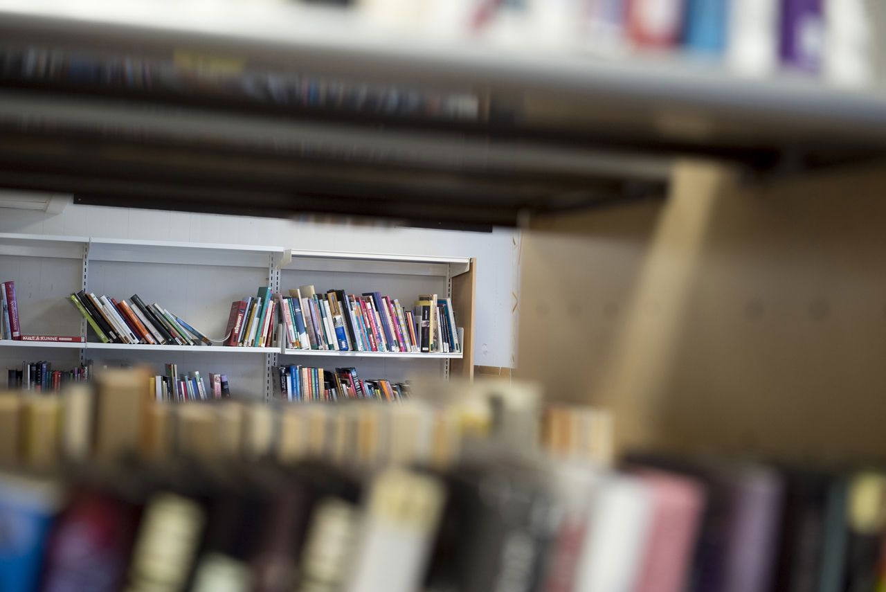 Bøker på biblioteket